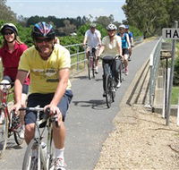 Tour de Vines - Winery Find