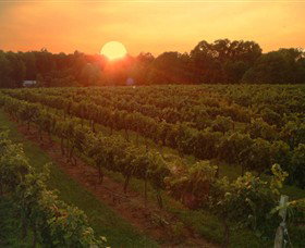 Go West Tours - Winery Find 5