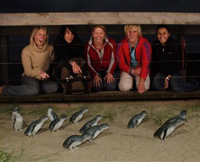 Bunyip Tours - Winery Find 2