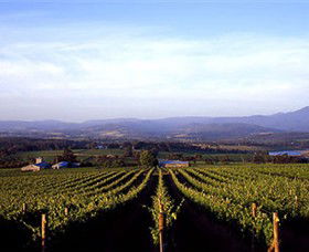Box Hill VIC Winery Find