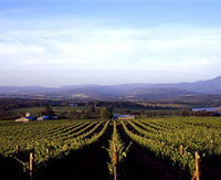 Melbourne Wine Tours