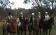 Mountain Ash Trails - thumb 4