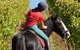 Horseback Winery Tours - thumb 1