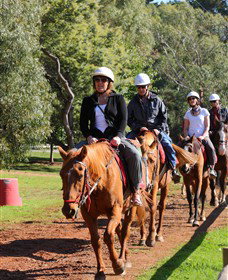 Horseback Winery Tours - Winery Find 0