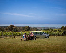 MP Experience - Winery Find 2