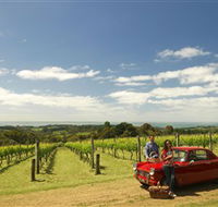 MP Experience - Winery Find