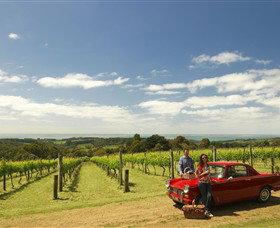 MP Experience - Winery Find 0