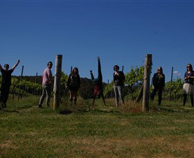 The Grape Escape - Winery Find 1