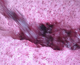 Wine Country Tours - Winery Find 3