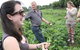 Foodscape Tours South Coast - thumb 0