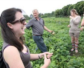 Foodscape Tours South Coast - Winery Find 0