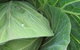 Foodscape Tours South Coast - thumb 4