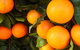 Foodscape Tours South Coast - thumb 6
